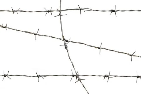 Barbed wire, isolated on a white background Stock Photos