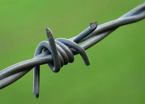 Barbed Wire with larger backround Stock Photos