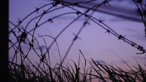 Barbed wire left over at Normandy Beach, France. 75th commemoration of D-Day, Stock Footage 113401261