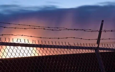 Barbed wire life Stock-Fotos
