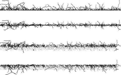 Barbed wire with a line,  Barbed wire with barbed wire against vector Stock Illustration