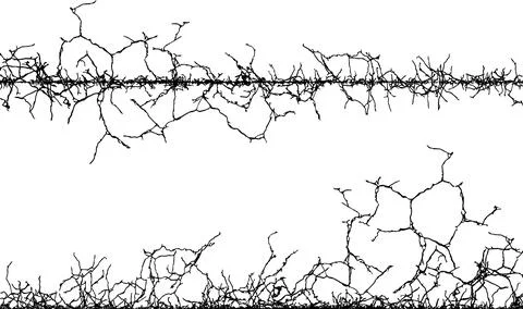 Barbed wire with a line,  Barbed wire with barbed wire against vector Stock Illustration