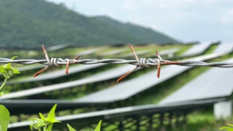 Barbed wire lined with scattered greenery stretches across the scene forming a Stock Footage 323981013