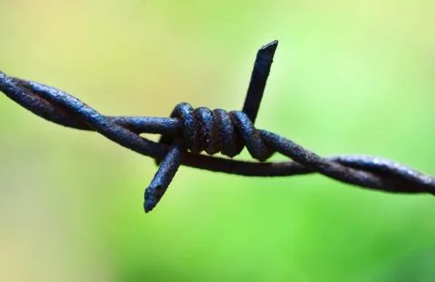 Barbed wire macro Stock Photos