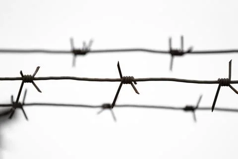 Barbed wire made of rusty iron wire with pointed ends against the white clear Foto stock