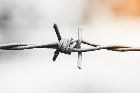 Barbed wire. Monochrome Stock Photos
