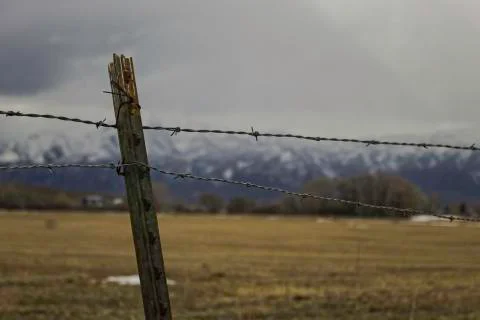 Barbed Wire Mountains 스톡 사진