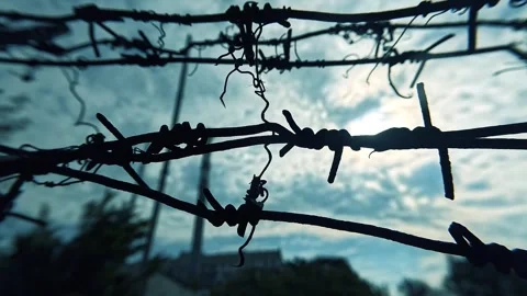 Barbed Wire moving background Stock Footage 276321561