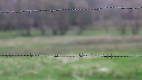 Barbed Wire nature blur 4k 30fps video Stock-Footage 267978004