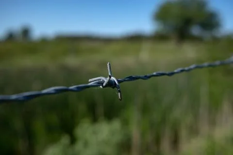 Barbed wire in nature Stock Photos