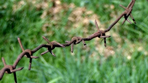 Barbed wire over the field. Stock Footage 75931337
