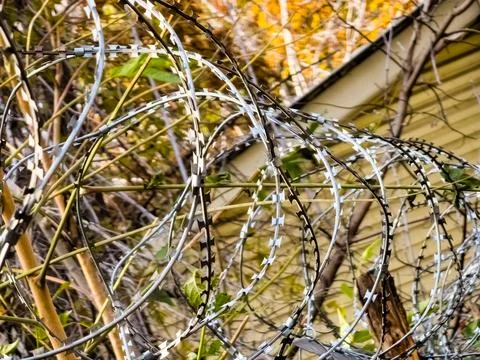 Barbed wire over the wall. The concept of imprisonment or restriction of terr Stock Photos
