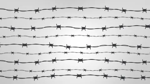 Barbed wire pattern, confinement or security, restriction, protection, or Video stock 311681093