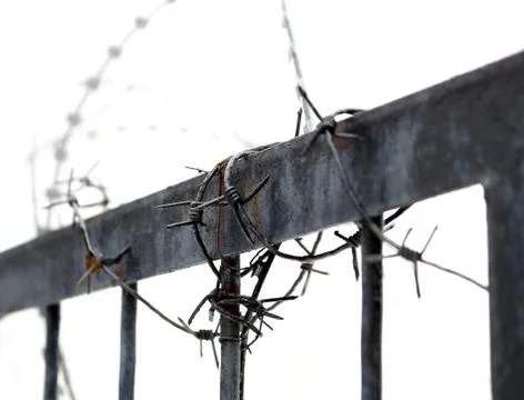Barbed wire Stock Photos
