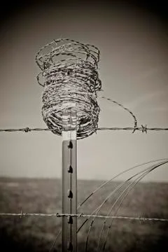 Barbed wire Fotos de archivo