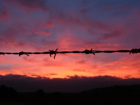 Barbed wire Fotos Stock