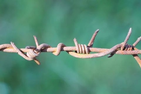 Barbed wire Stock Photos
