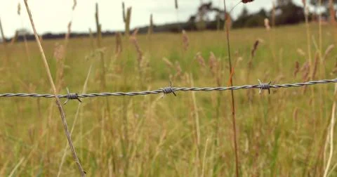 Barbed wire Fotos Stock