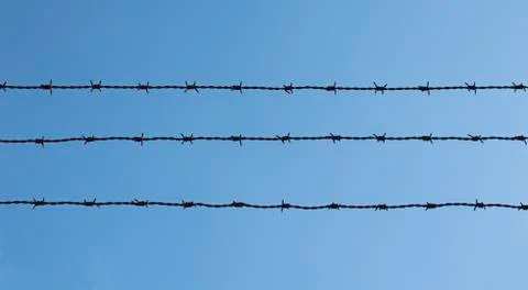 Barbed wire 库存照片