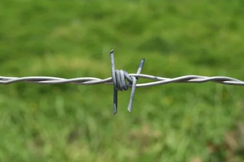 Barbed wire Stock Photos