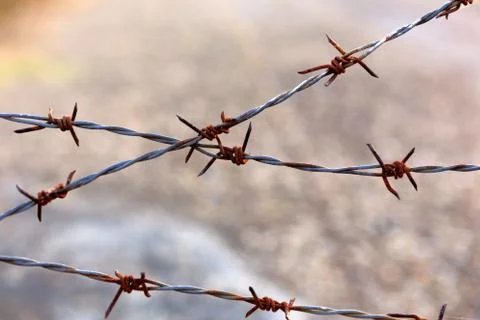Barbed wire Stock Photos