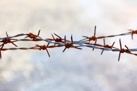 Barbed wire Stock Photos