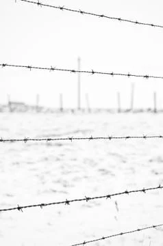 Barbed wire Stock Photos