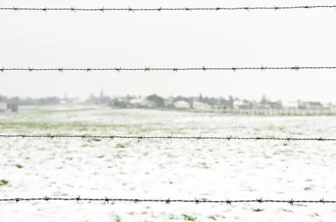 Barbed wire Stock Photos