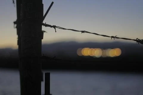 Barbed Wire Stock Photos