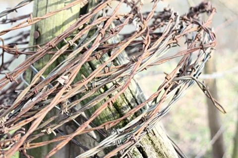 Barbed wire Stock Photos