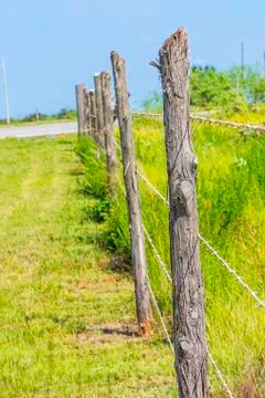 Barbed wire Stock Photos