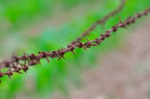 Barbed wire Stock Photos