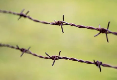 Barbed wire Stock Photos