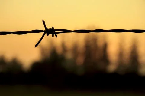 Barbed wire Foto stock