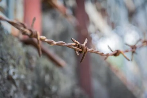 Barbed wire Stock Photos