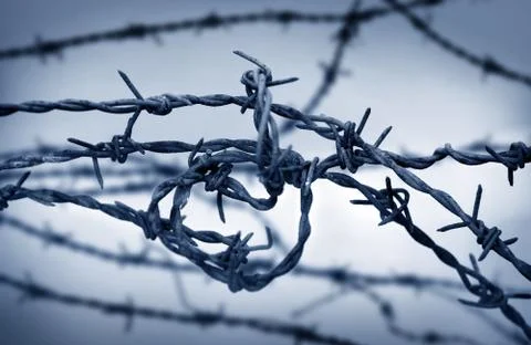 Barbed wire Stock Photos