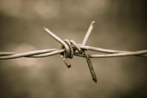 Barbed wire Stock Photos