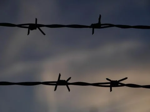 Barbed wire Stock Photos