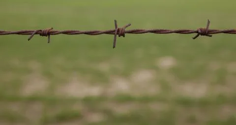 Barbed wire Foto stock
