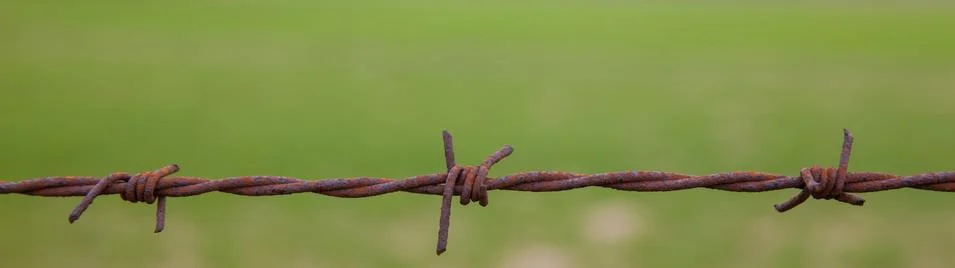 Barbed wire Stock Photos