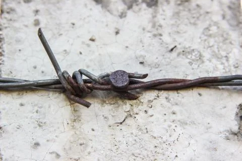 Barbed wire Stock Photos