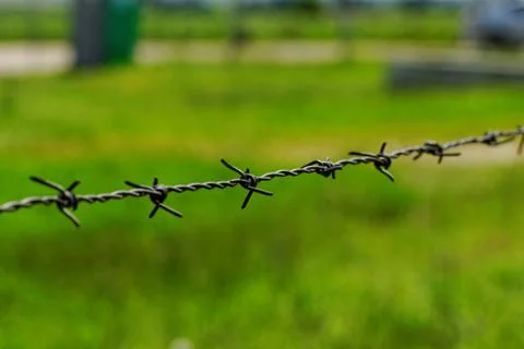 Barbed wire Stock Photos