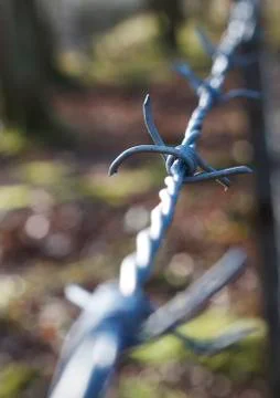 Barbed wire Stock Photos