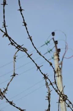 Barbed wire Stock Photos