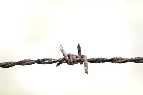 Barbed wire Foto stock