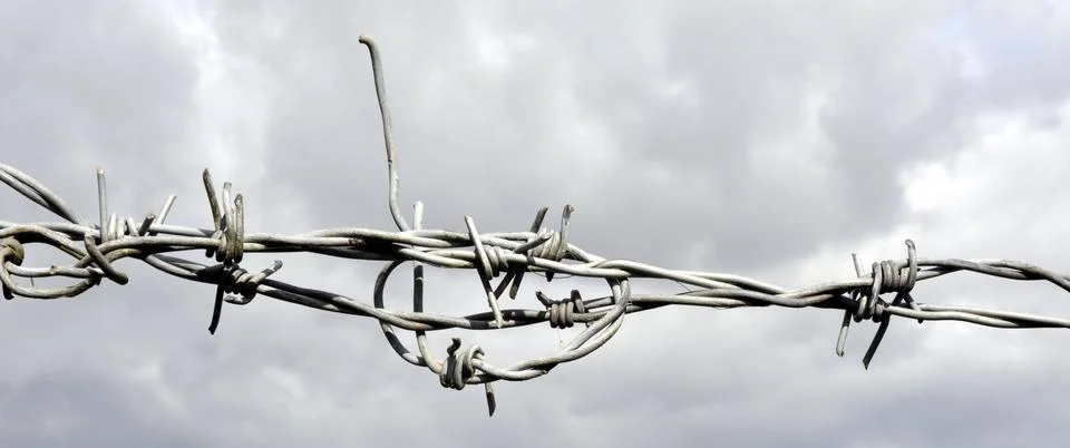 Barbed Wire Stock Photos