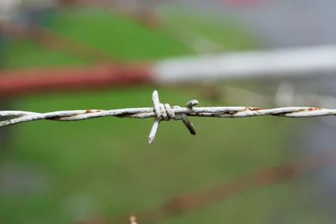 Barbed wire Stock Photos