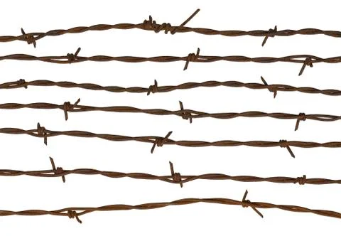 Barbed Wire Stock Photos