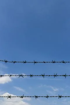 Barbed wire Stock Photos