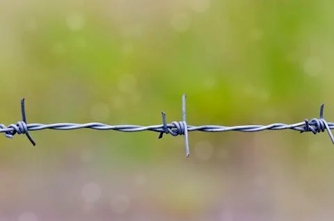 Barbed wire Stock Photos